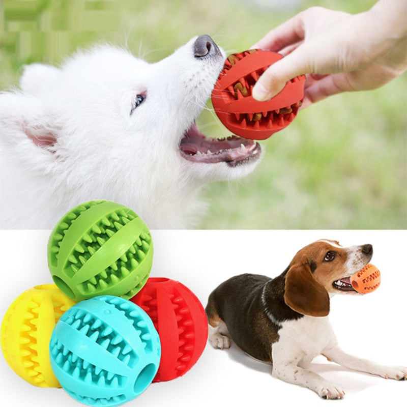 Interactive Rubber Pet Dog Toy